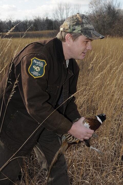 man hunting pheasant