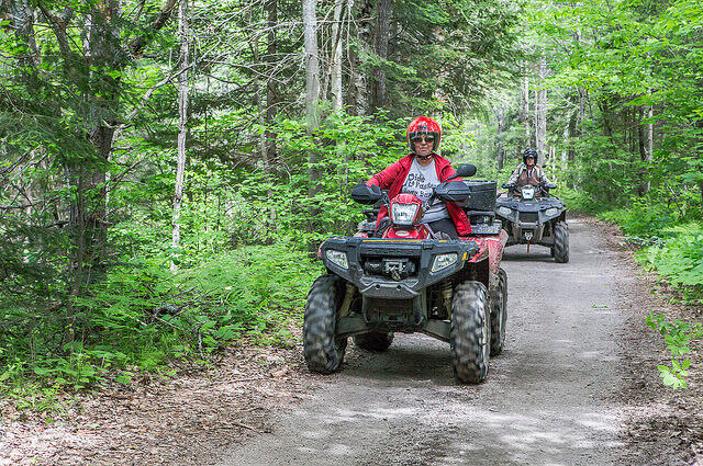 easy trail r