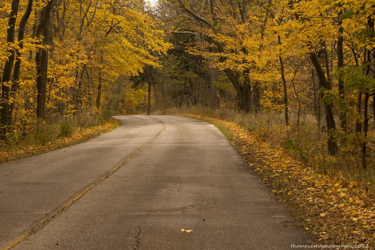 Point Pelee Fall Colours Thom Evered smaller