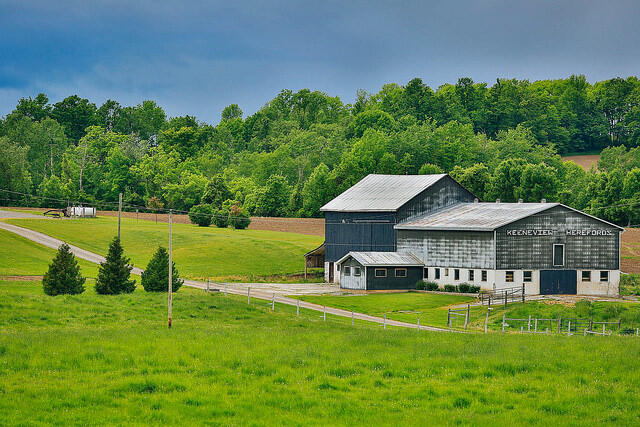 local farm