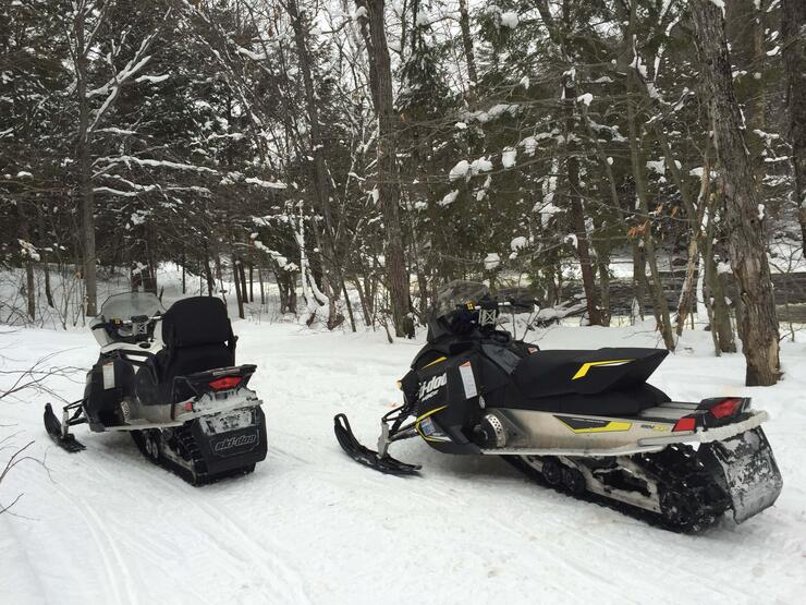 sleds on trail