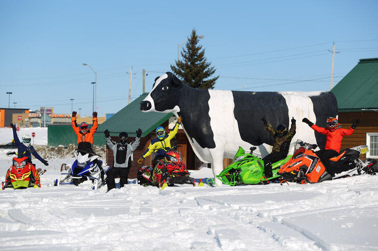 cow visit