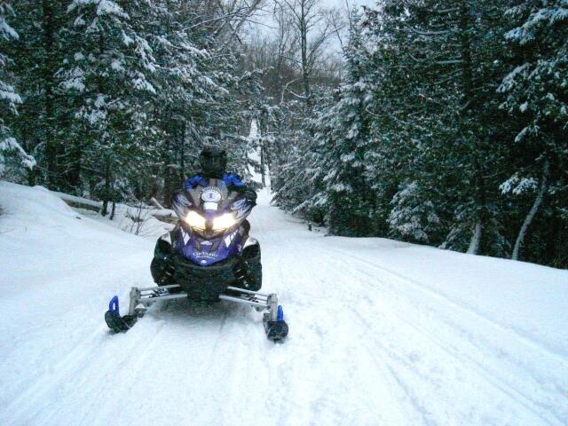 sled on trail blue