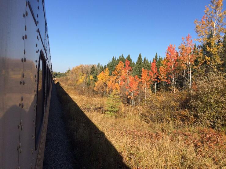 10678764 839210572778828 5050963781070852303 n