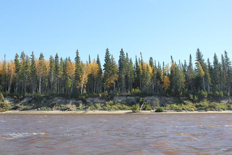 10690051 839939536039265 3580977188382325401 n