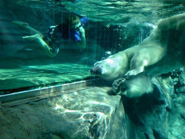 Ganuk Swimming