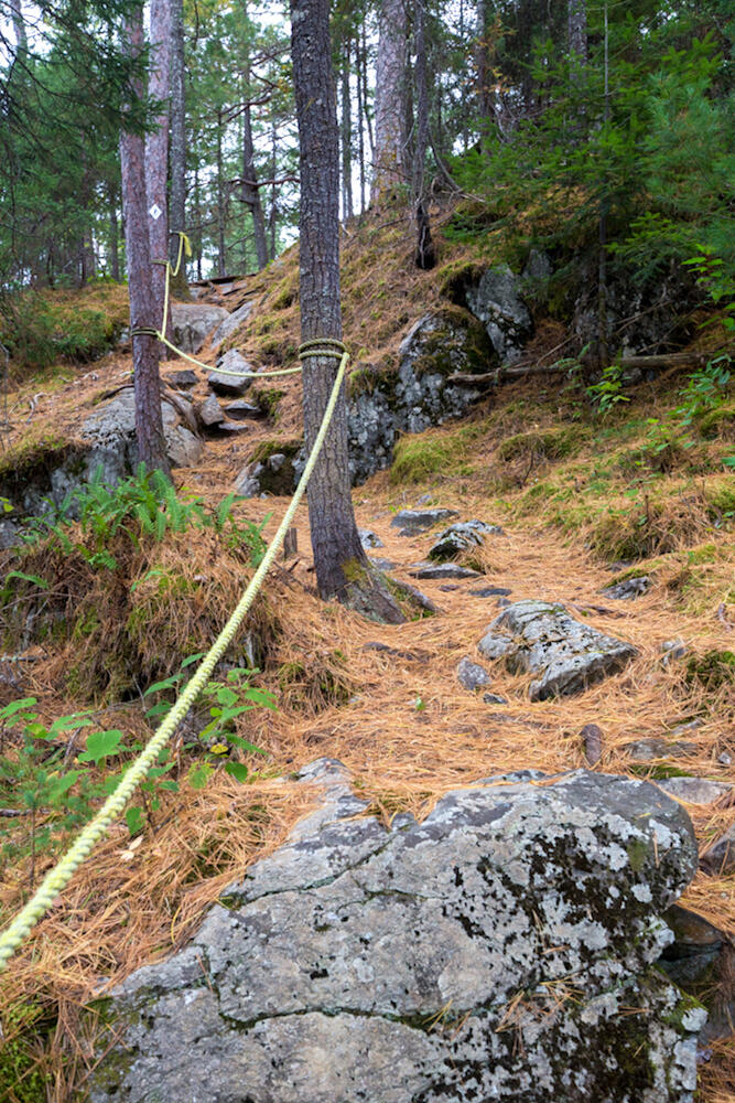 TEMAGAMI ROPE WHITE BEAR