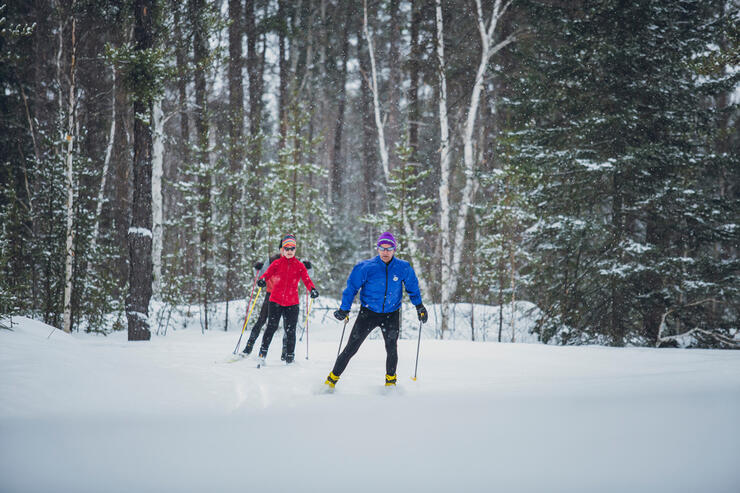 Canon EOS 5D Mark III375