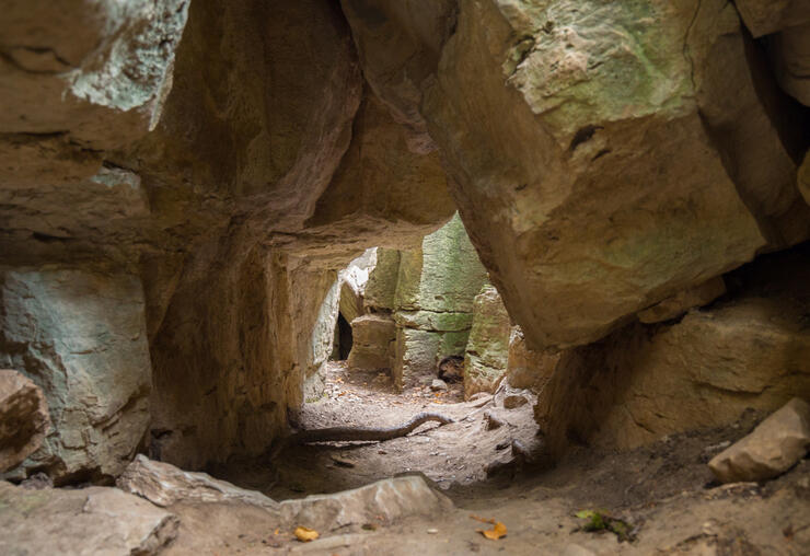 CUP ADVENTURE CAVE