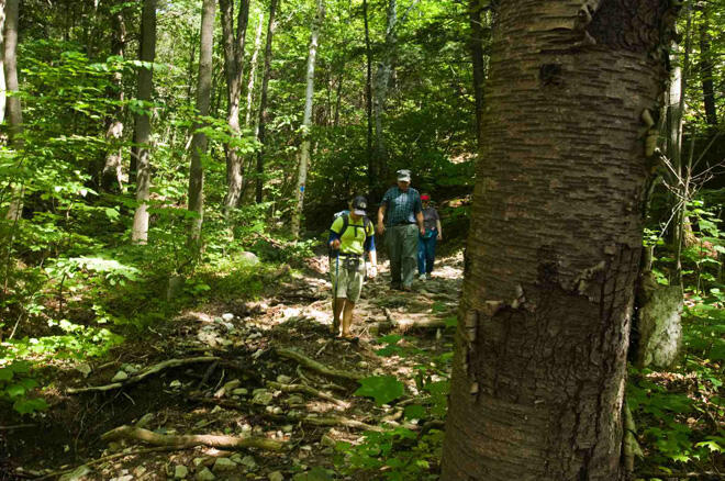 Hiking the Trails in Killarney Provincial Park