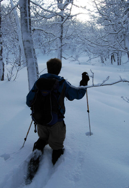 Algoma-backcountry-snowshoeing-Conor-Mihell