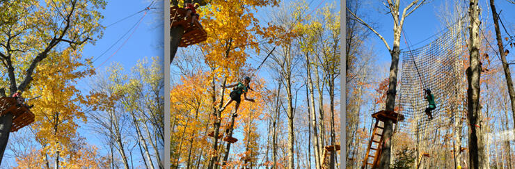 My niece, Nicole, loved the Tarzan rope swing.