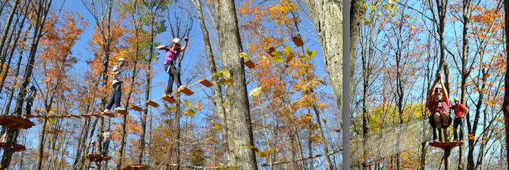 team-work-and-zipline