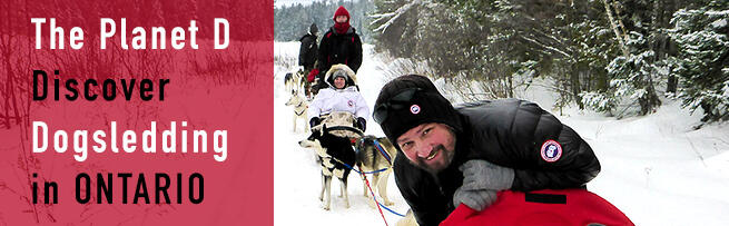 Discover Dogsledding in Ontario