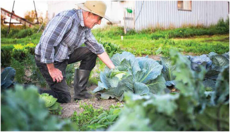 Farmer- Local delights