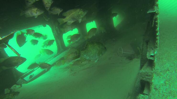 vlcsnap-2013-10-21-13h43m11s190