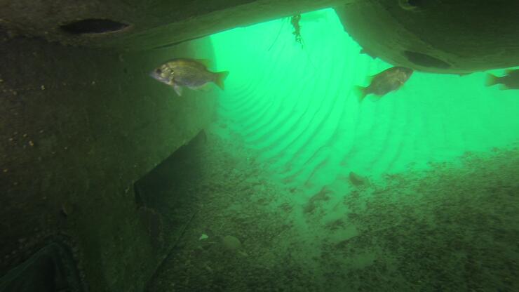 vlcsnap-2013-10-21-13h44m04s207