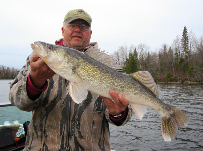 In back-to-back days, Steve CPR'd, a 30