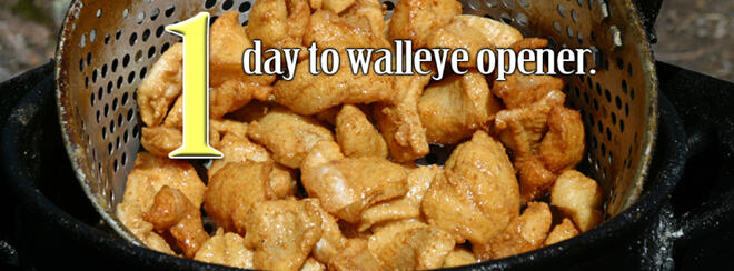 Walleye opener 2014