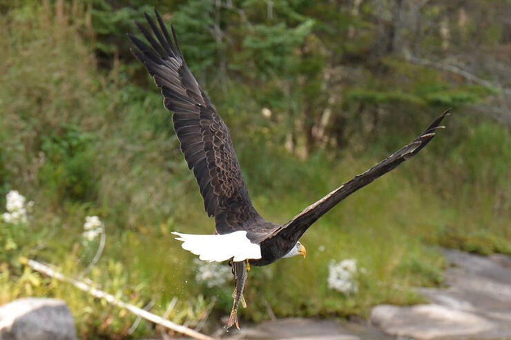 Big North Lodge and Outposts Oct 4