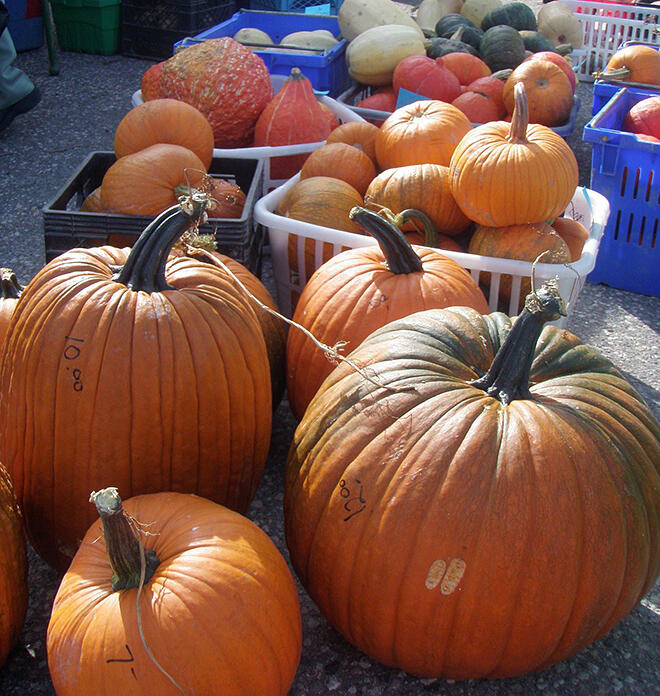 Cloverbelt Country Farmers' Market in Dryden.