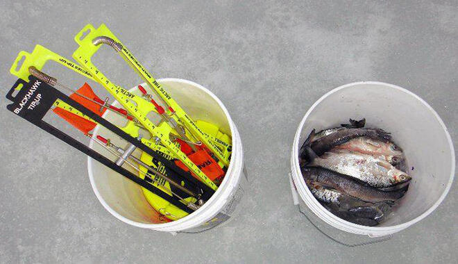 Get ready for pike fishing with Frabill Tip-Ups and some dead ciscos