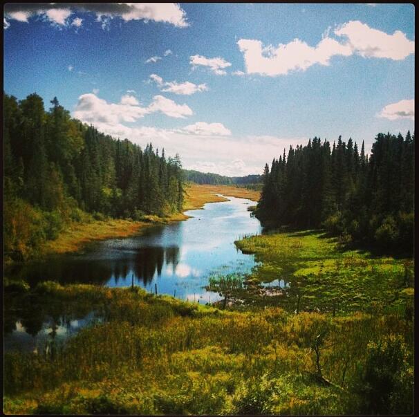 Epic Nature on the way to Dryden