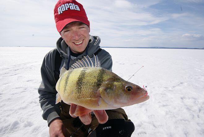 Black Bay jumbo perch