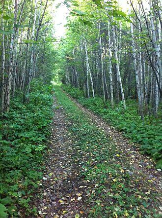 ruby lake trail