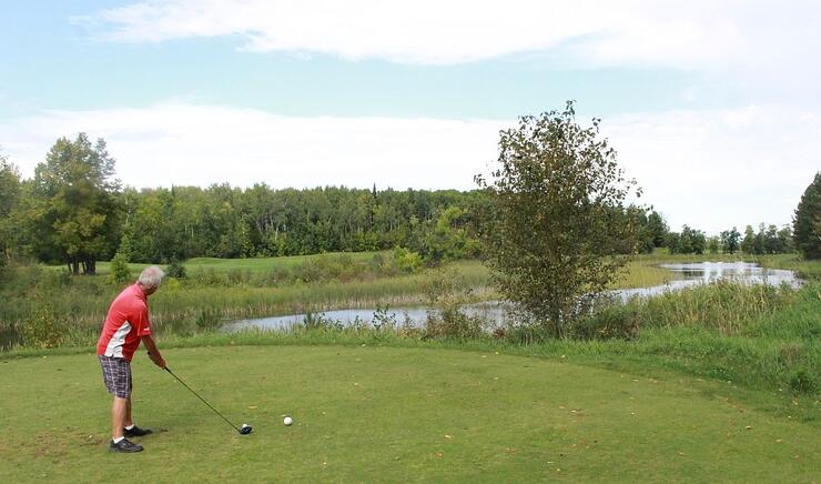 heron landing teeing off 10