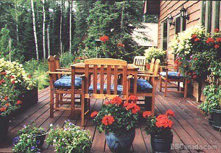 Mountain Meadow Outdoor Dining