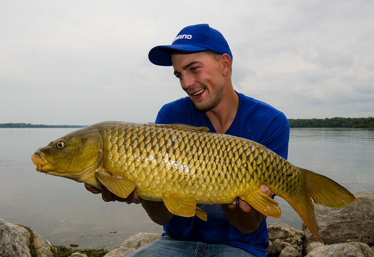 ontario carp