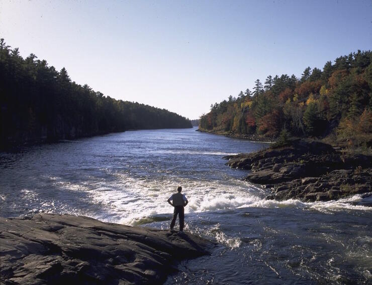 Man standing beside a waterfalls, looking down a river.