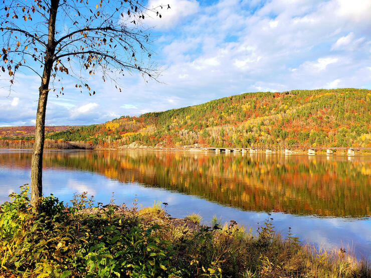 Beautiful fall colours reflecting on a wide river. 