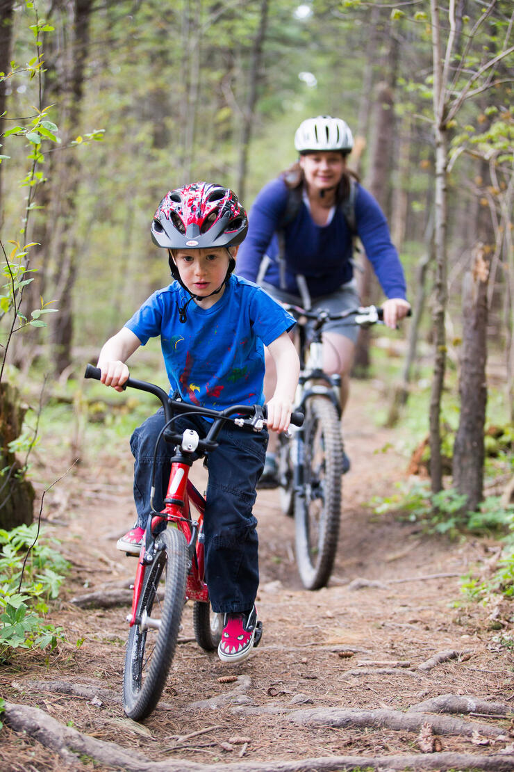 Young boy and a woman riding mountain bikes on a forest trail. 