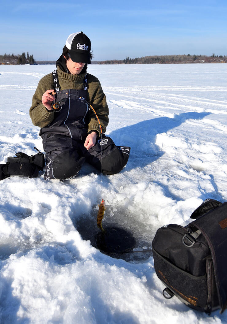 winter-perch-trap-1