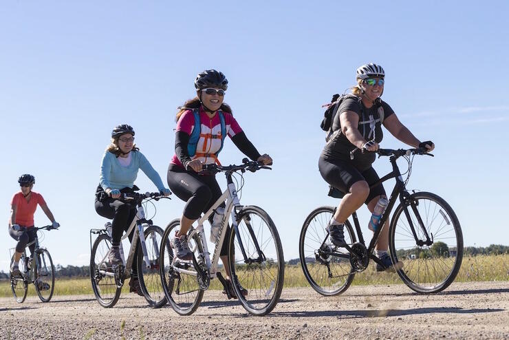 Group of cyclists on the road