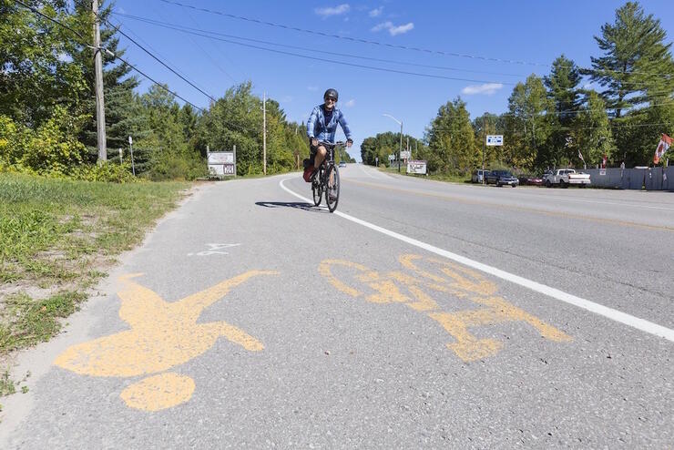 Man riding in bike lane on road