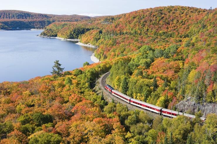 Train winding around hill of vibrantly coloured leaves in the fall.