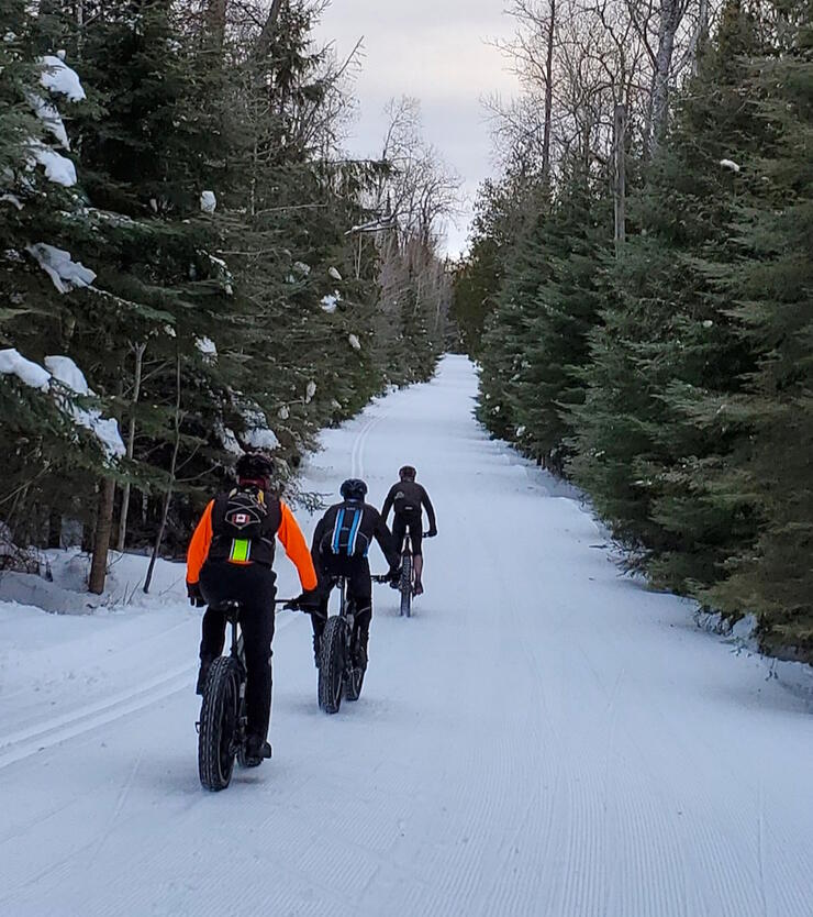 Three people riding fat bikes on a wide winter trail.