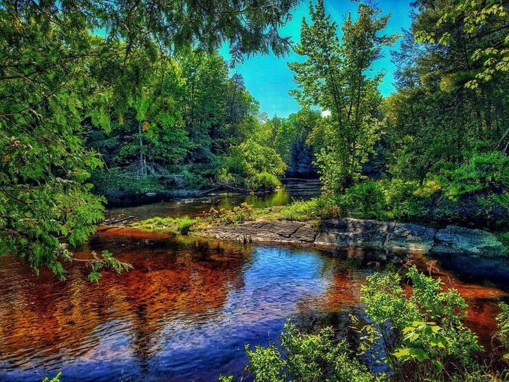 Shallow river flowing around a curve, with a rocky shoreline lined with vibrant green trees.