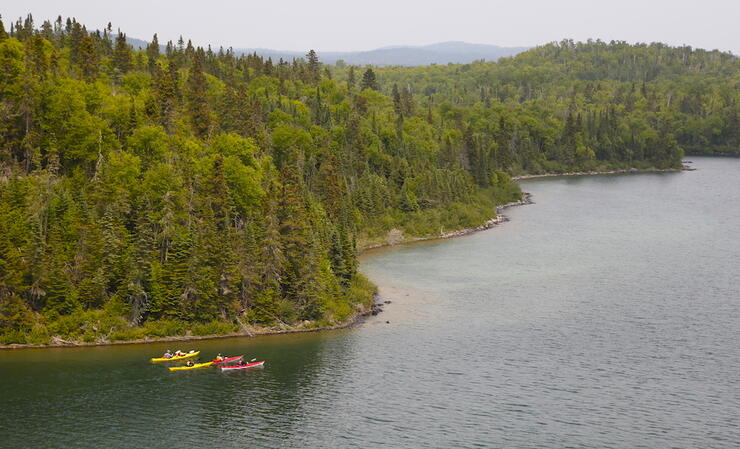 Four kayaks travelling along a beautiful rugged coast