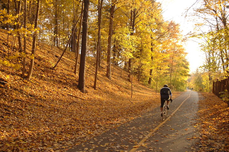 Cyclist riding on a paved pathway in the autumn colours.