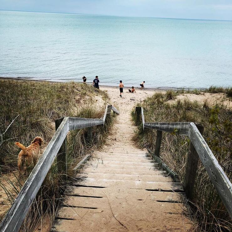 Wooden stairs leading down to a beach and water.
