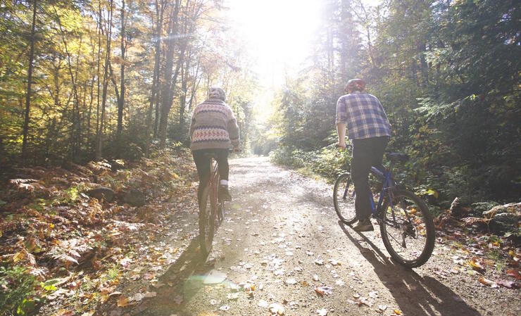 Two people riding on bicycles side by side on a road in the forest.