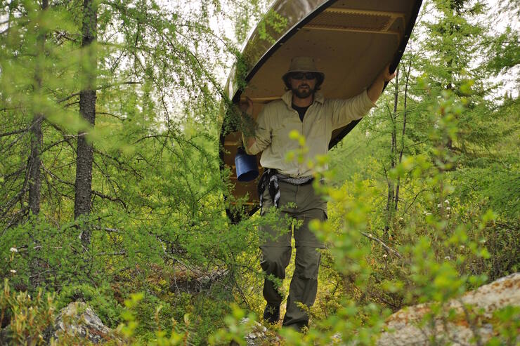 Man portaging a canoe on a forest trail.