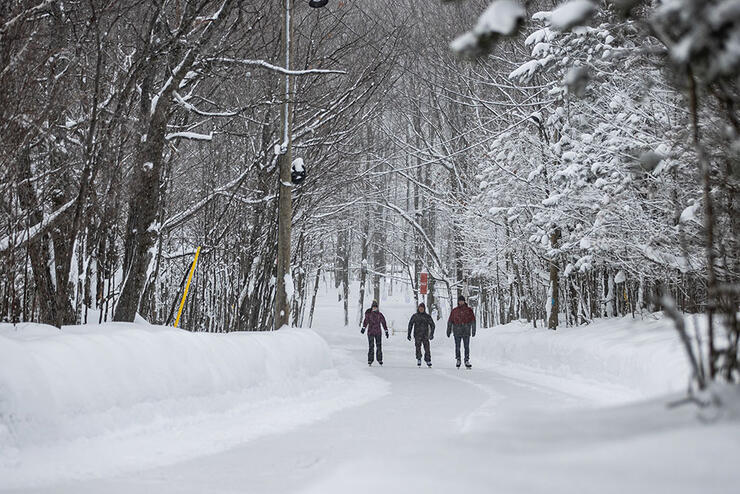 three people skating on a winter skating trail at Blue Mountain