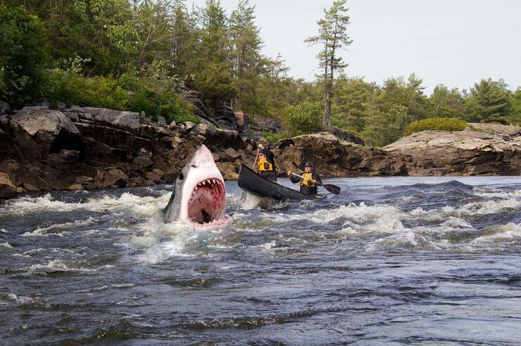 People in a canoe in whitewater, large shark with open mouth in front of canoe. 