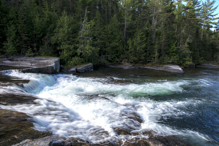 Small waterfall and rapids surrounded by forest. 