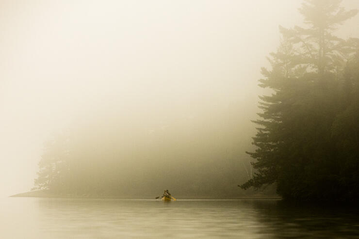 Canoeist paddling in morning fog.